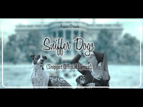 ariana grande – sniffer dogs (official lyrics) snippet 2021 positions deluxe album