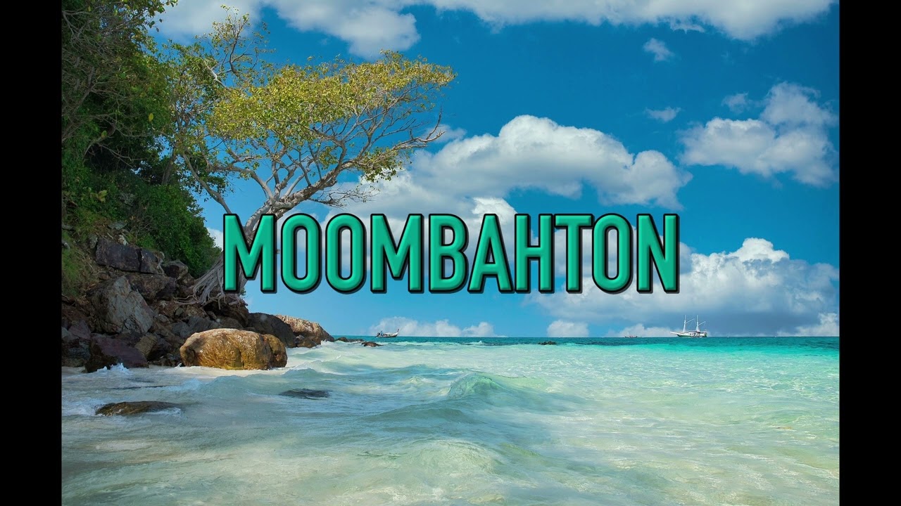 Moombahton Holiday Mix I December 2022 I Afro Bros, Saweetie, Bizzey