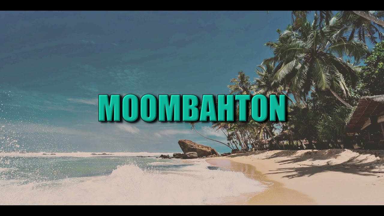 Moombahton Mix December 2022 I Mashups and Remixes