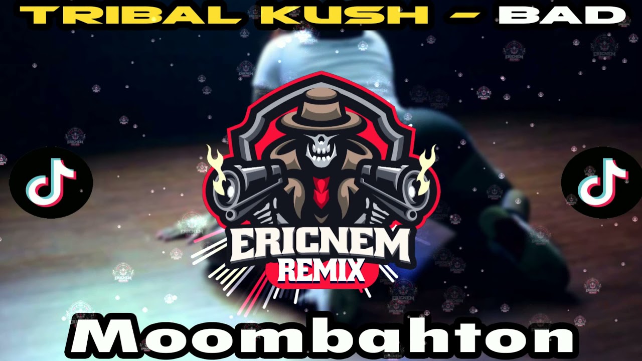 Tiktok Viral Bad Moombahton Remix | Dj Ericnem