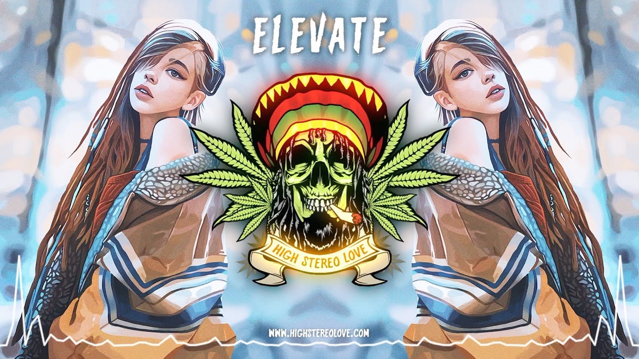 ELEVATE ☮️ (Chill Reggae / Cali Reggae / Meditate / Lyric Video)