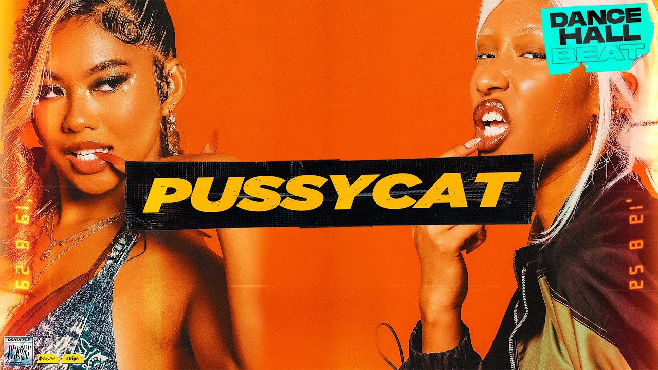 Dancehall Type Beat 2024 | Afro Pop type beat 2024 "Pussycat"